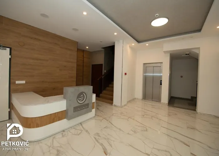 Petkovic 34 ヤゴディナ